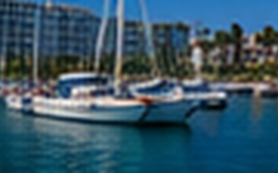 Marina Vallarta en Puerto Vallarta, imagen ilustrativa