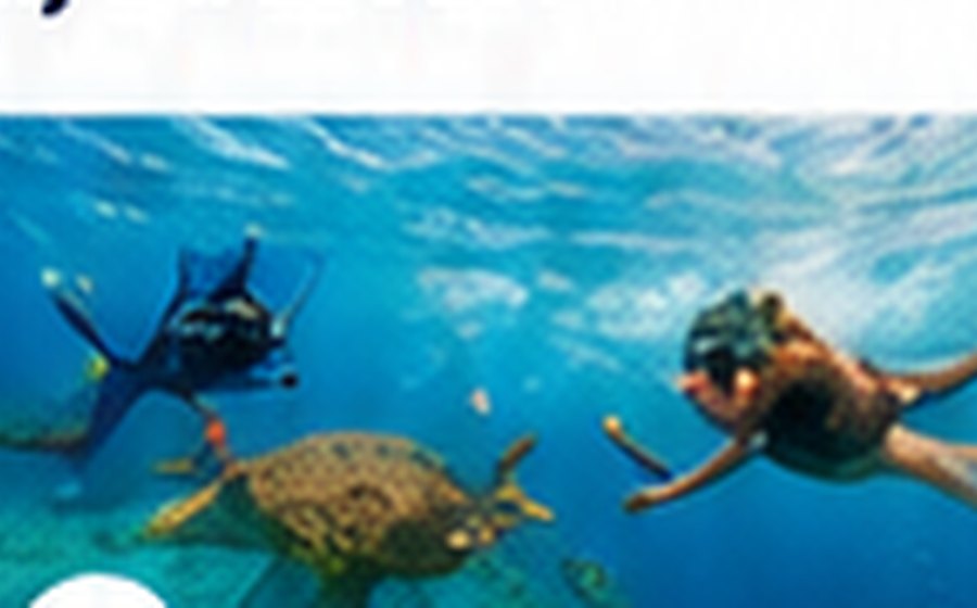 Para snorkel y aventura en Puerto Vallarta, imagen ilustrativa